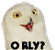 orly.jpg
